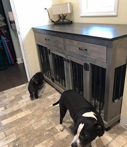2 dogs standing next to their wooden indoor dog crates