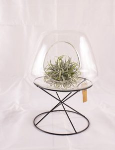 Terrarium with metal stand-1